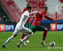 捷克队公布欧洲杯名单